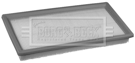 Air Filter (BFA2399)