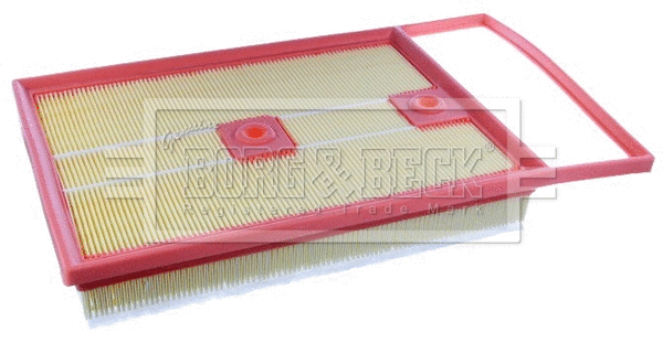 Air Filter (BFA2571)