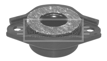 Suspension Strut Support Mount (BSM5147)