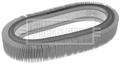 Air Filter (BFA2356)