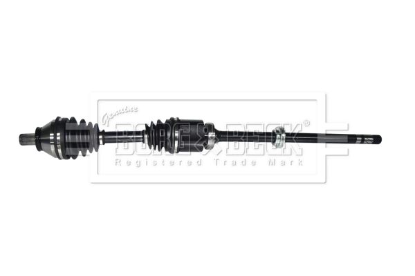 Drive Shaft (BDS1355)