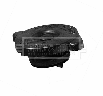Cap, radiator (BRC89)