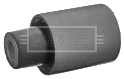 Mounting, control/trailing arm (BSK6421)