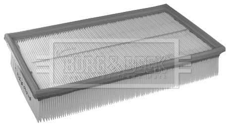 Air Filter (BFA2253)