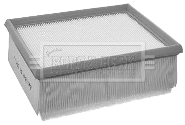 Air Filter (BFA2182)