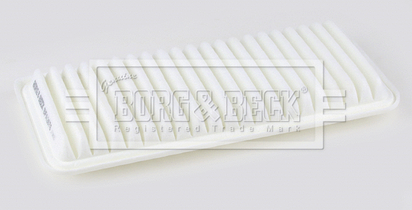 Air Filter (BFA2676)
