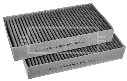 Filter, cabin air (BFC1129)