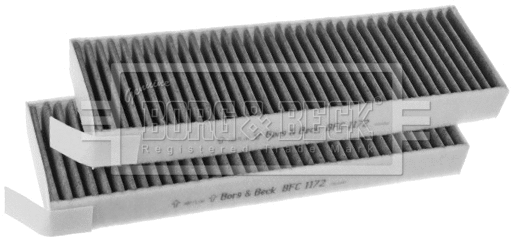 Filter, cabin air (BFC1172)