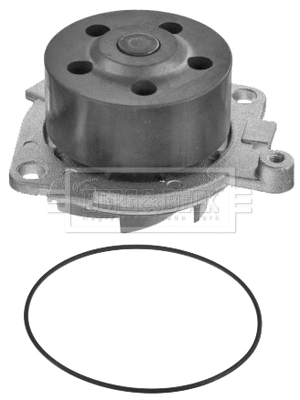 Water Pump, engine cooling (BWP1729)