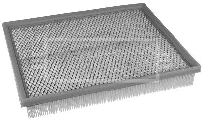 Air Filter (BFA2315)