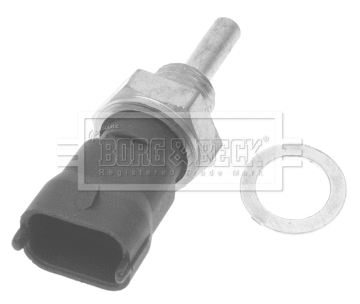 Sensor, coolant temperature (BTS3007)