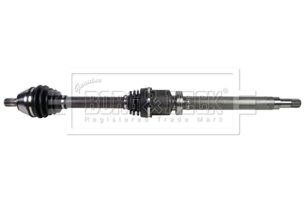 Drive Shaft (BDS1031)