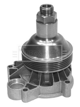 Water Pump, engine cooling (BWP2098)