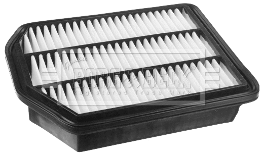 Air Filter (BFA2485)