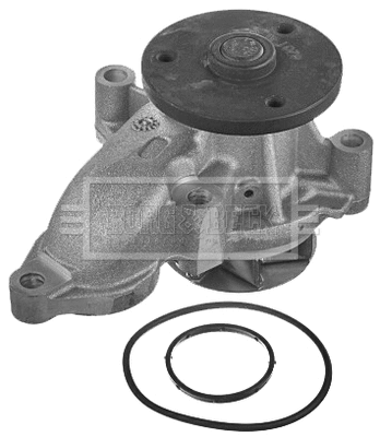 Water Pump, engine cooling (BWP2242)