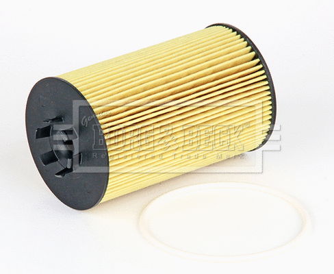 Oil Filter (BFO4230HD)