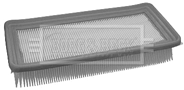 Air Filter (BFA2173)