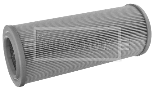 Air Filter (BFA2481)