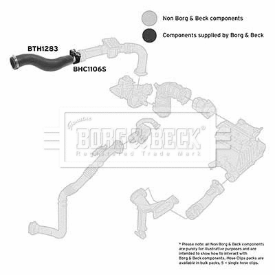 Charge Air Hose (BTH1283)