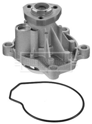 Water Pump, engine cooling (BWP2031)