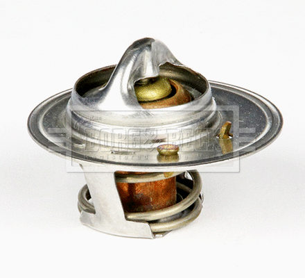 Thermostat, coolant (BTS232.88)