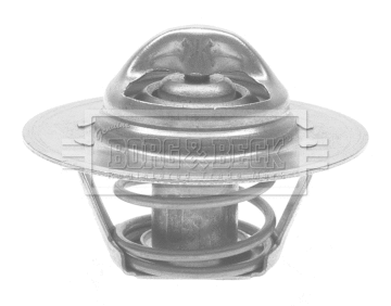 Thermostat, coolant (BTS122.82)