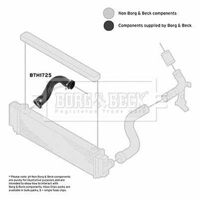 Charge Air Hose (BTH1725)