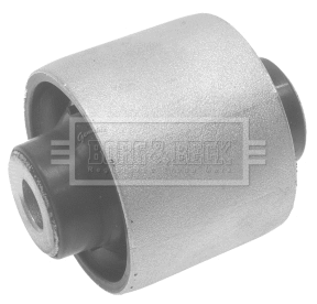 Mounting, control/trailing arm (BSK7489)