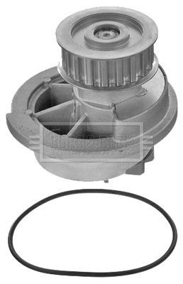 Water Pump, engine cooling (BWP2076)