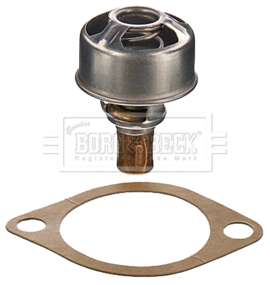 Thermostat, coolant (BBT007)