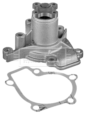Water Pump, engine cooling (BWP2004)