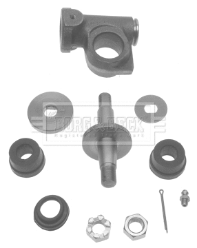 Repair Kit, wheel suspension (BSK5902)