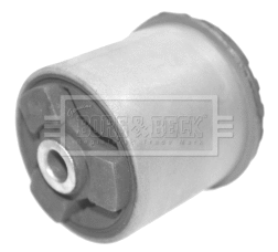 Bushing, axle beam (BSK6529)