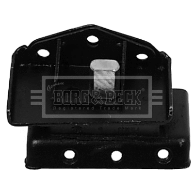 Bushing, axle bracket (BSM2015)