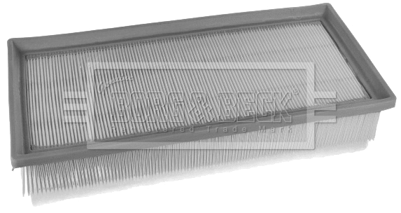 Air Filter (BFA2477)
