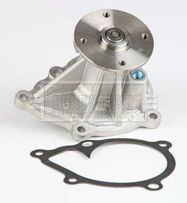 Water Pump, engine cooling (BWP2490)