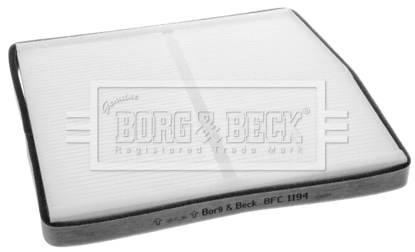 Filter, cabin air (BFC1194)