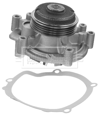 Water Pump, engine cooling (BWP1741)