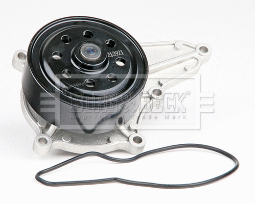 Water Pump, engine cooling (BWP2489)