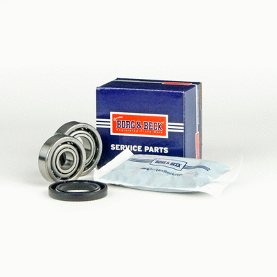 Wheel Bearing Kit