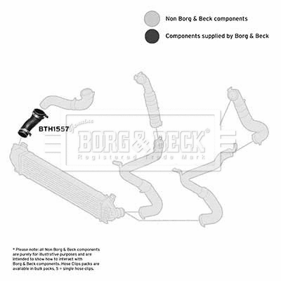 Charge Air Hose (BTH1557)