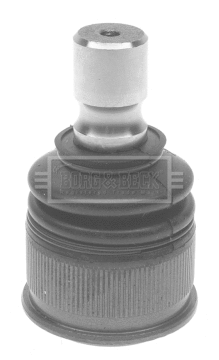 Ball Joint (BBJ5596)