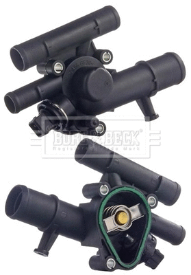 Thermostat, coolant (BBT196)