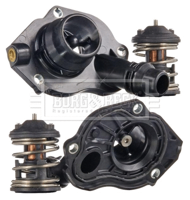 Thermostat, coolant (BBT491)