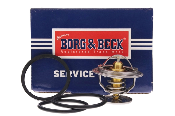 Thermostat, coolant (BBT027)