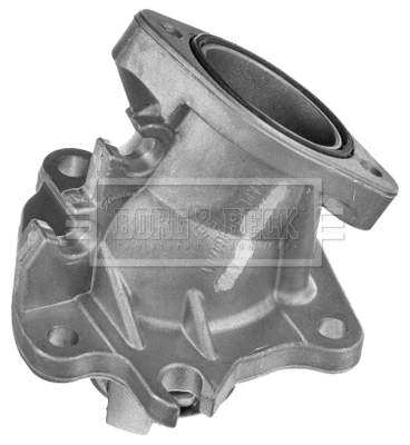 Thermostat, coolant (BBT467)