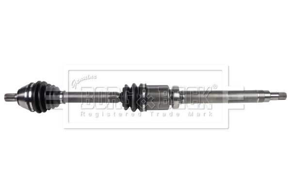 Drive Shaft (BDS1107)