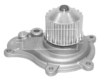 Water Pump, engine cooling (BWP2107)