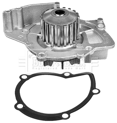 Water Pump, engine cooling (BWP1989)