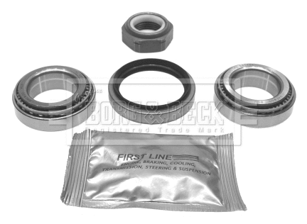 Wheel Bearing Kit (BWK097)